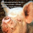 ���� �������, ������-��-����, 64 ���� - ��������� 7 ������� 2018