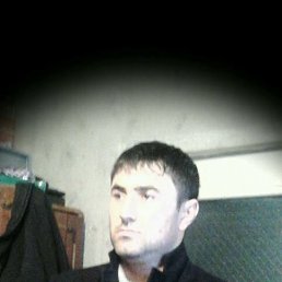 ��������, ������, 41 ���