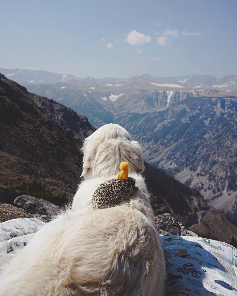    .: https://fotostrana.ru/away?to=/sl/qcG ()#@ican - 7