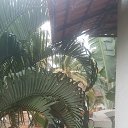 ���� �������, ��������� - ��������� 27 ����� 2019 � ������ ���� ����������