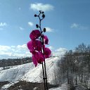 ���� �������, �������� - ��������� 25 ������� 2019 � ������ ������ ��������