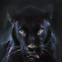���� ����, ������������, 51 ��� - ��������� 28 ����� 2019 � ������ ���� ����������