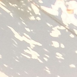 �����, ��������, 44 ����