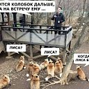 ���� �������, ��������� - ��������� 22 ������ 2019 � ������ ������ ��������