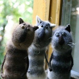 ������, ���������, 47 ���