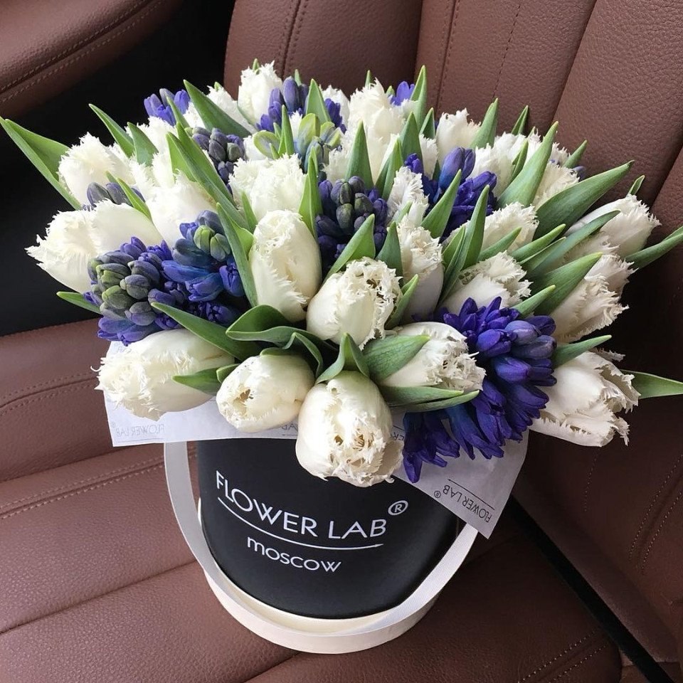  https://fotostrana.ru/away?to=/sl/39o2 labflower - 2