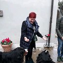 ���� �����, �������, 43 ���� - ��������� 25 �������� 2018 � ������ ���� ����������