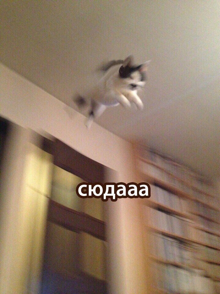      - 3