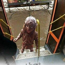 ���� �������, ������ - ��������� 14 ������ 2018