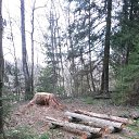 ����� ������� ������� ������, 
����� �� ����� �� ����� �� ����...