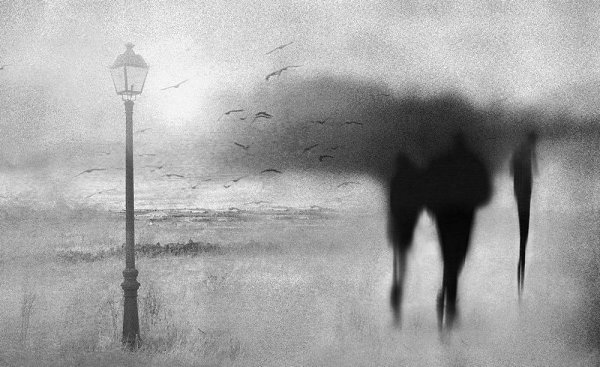 Художественную фотографию порождает художественное видение фотографа, поэтому она ярко контрастирует ... - 5