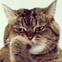 ���� ������, ���������, 29 ��� - ��������� 20 ������� 2018 � ������ ���� ����������