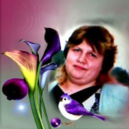 , , 62 