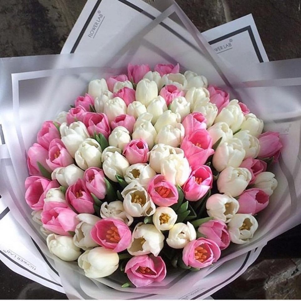  https://fotostrana.ru/away?to=/sl/39o2 labflower - 4