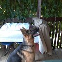 ���� �� ������� ���