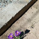 ���� ����, ������, 46 ��� - ��������� 28 ����� 2019 � ������ ���� ����������