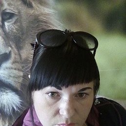 �������, ��������, 42 ����