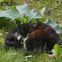 ��� �������...! �� ������� ���������� ����!�