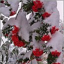  ,  -  9  2019   ,   