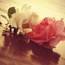  Mustafa, , 55  -  1  2018   new