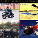 ���� �����, �����-��������� - ��������� 16 ���� 2018 � ������ ������ ��������