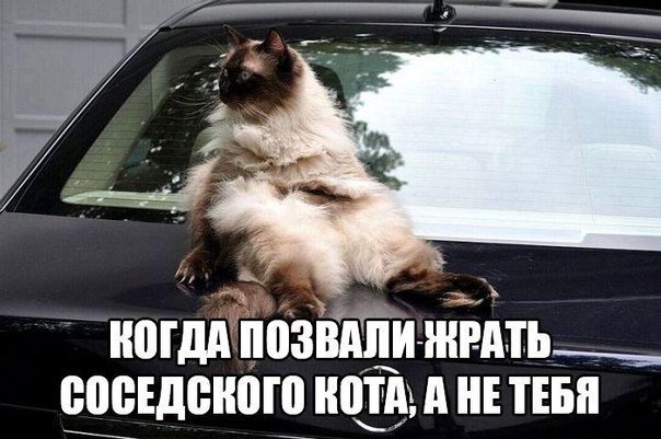    - 20  2019  17:13