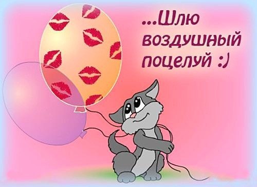   ,    . - 22  2019  16:25