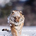 ���� �������, ����������� - ��������� 22 ������ 2019 � ������ ������ ��������