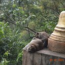 ���� �������, ���������, 46 ��� - ��������� 21 ������� 2018 � ������ ����������