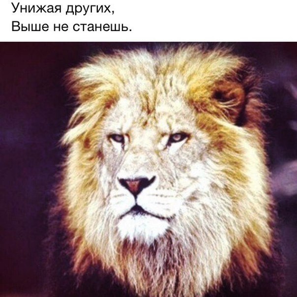 �������� - 16 ������� 2018 � 16:20
