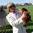  , -, 50  -  23  2019    