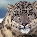 ���� ���������, ����-�����������, 45 ��� - ��������� 24 ������� 2018