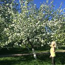 ���� Ira, ������� - ��������� 23 ������ 2019 � ������ ���� ����������