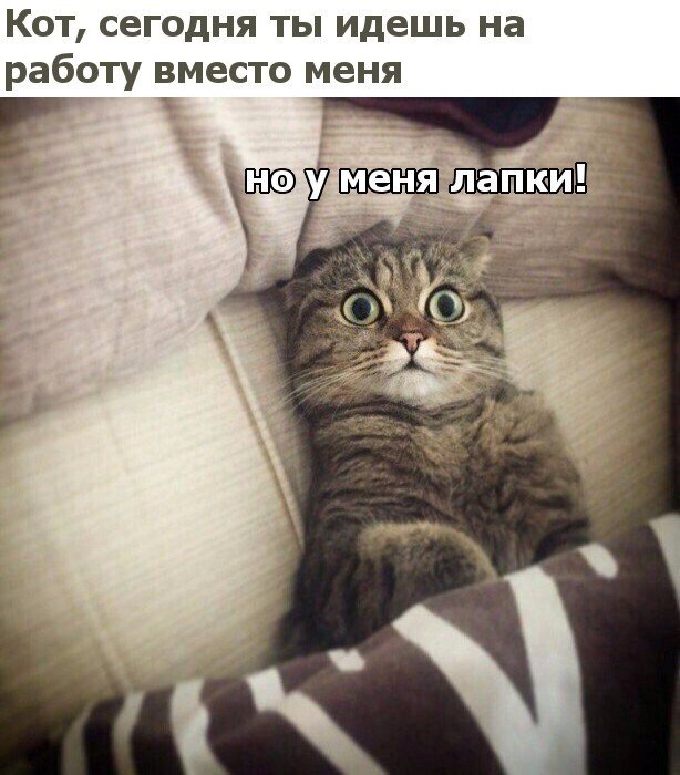 ***Victoria Viktorovna*** - 20  2018  16:41