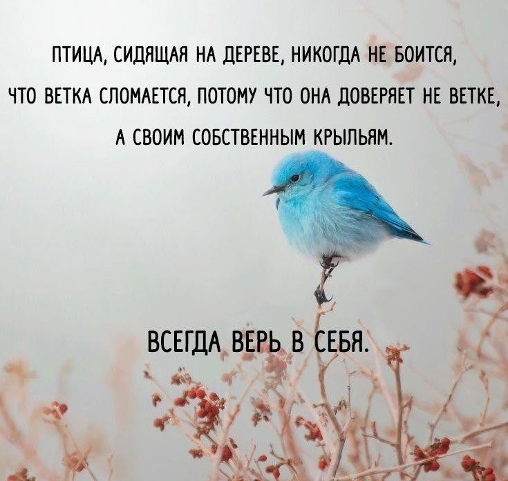    !