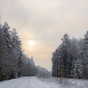 ���� ��������, ����� - ��������� 15 ������ 2019 � ������ ��������
