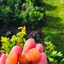 ���� ������, �������� - ��������� 1 �������� 2018