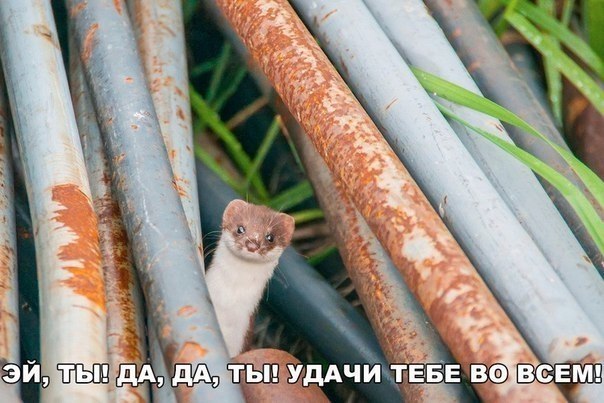  - 7  2018  16:44