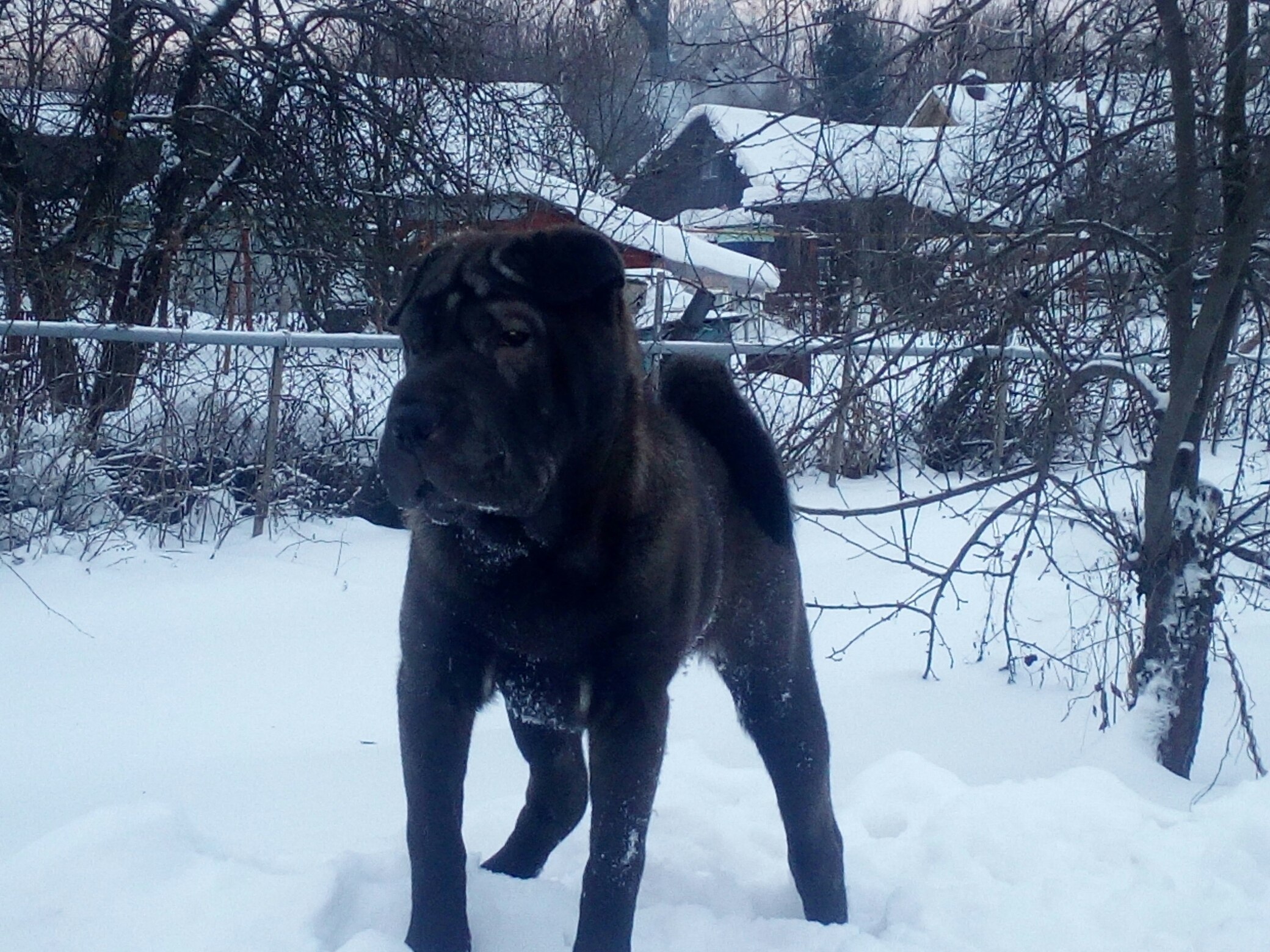  - 20  2019  17:00 - 6