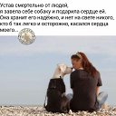 ���� ��������, �����-���������, 53 ���� - ��������� 14 ������� 2018 � ������ ������ ��������