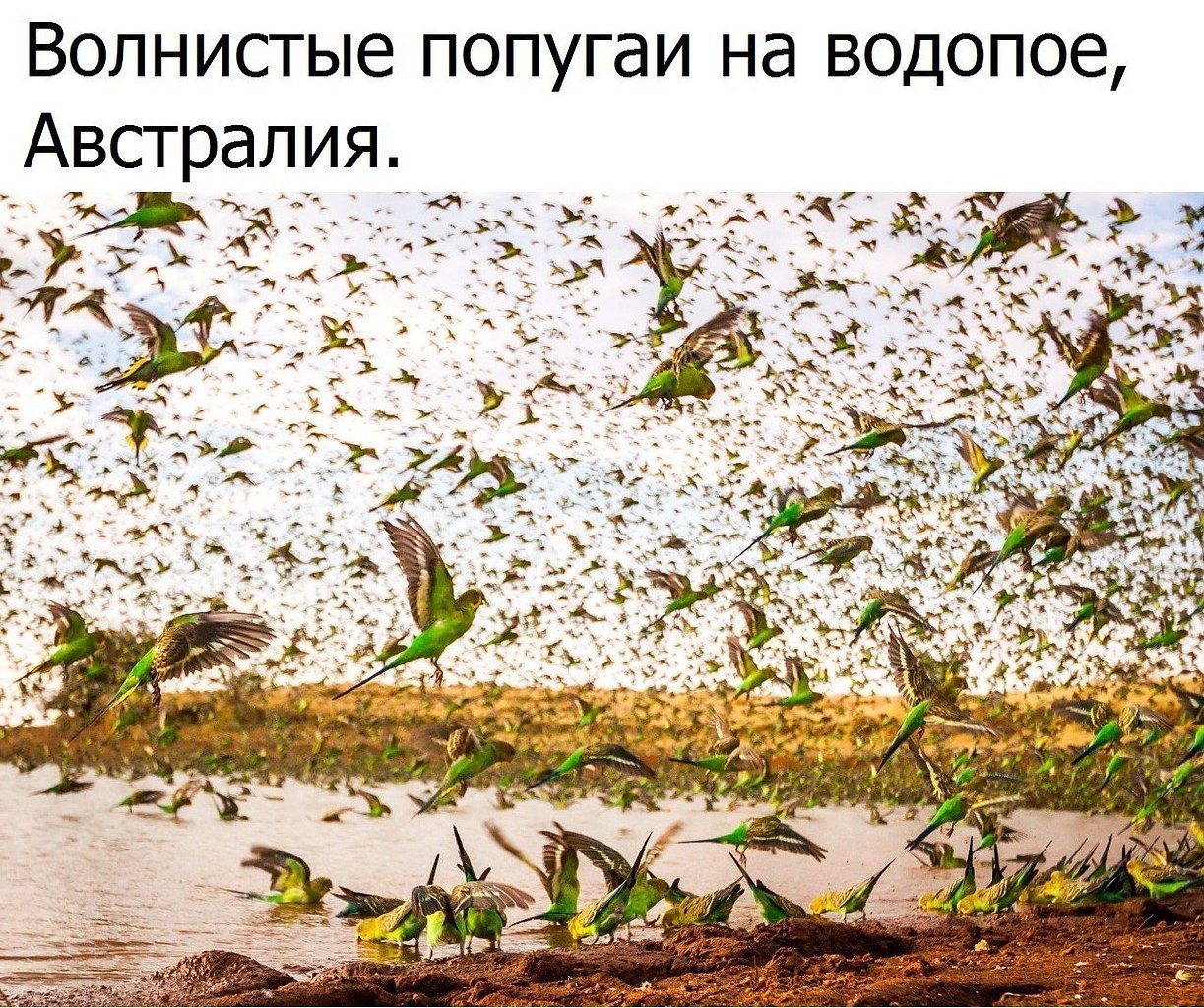  - 19  2019  17:08