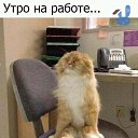 ���� �����, ������ - ��������� 2 ������ 2018