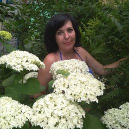 �����, �������, 58 ���