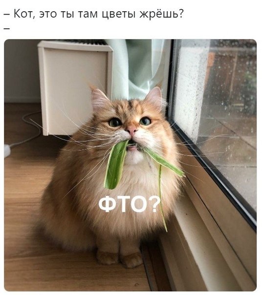 ~**~ - 19  2019  17:08