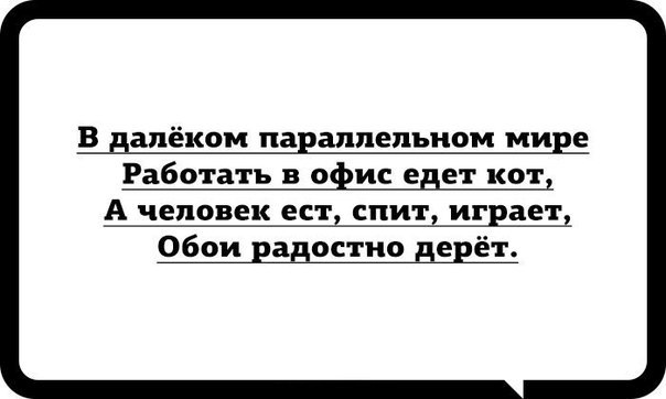    - 11  2018  16:31