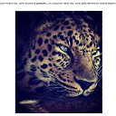 ���� Nastasya, ����, 34 ���� - ��������� 21 ������� 2018 � ������ ���� ����������