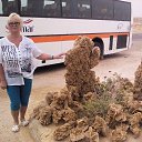 �������- ��� ���������������� ���� ��������� ���� � �.������ �� ������� �2018� �����. � ������