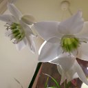 ���� �����, �����-��������� - ��������� 12 ����� 2019 � ������ ������ �����..... � ������� !!!....�