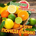 ���� ���������, ������, 66 ��� - ��������� 19 ����� 2019