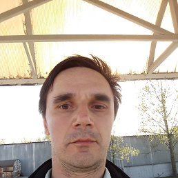 ������, �����-���������, 46 ���